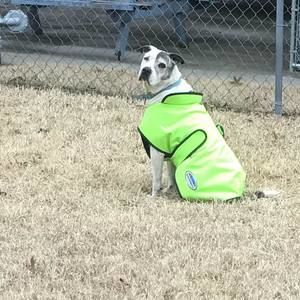 Meet your Posher, Babette